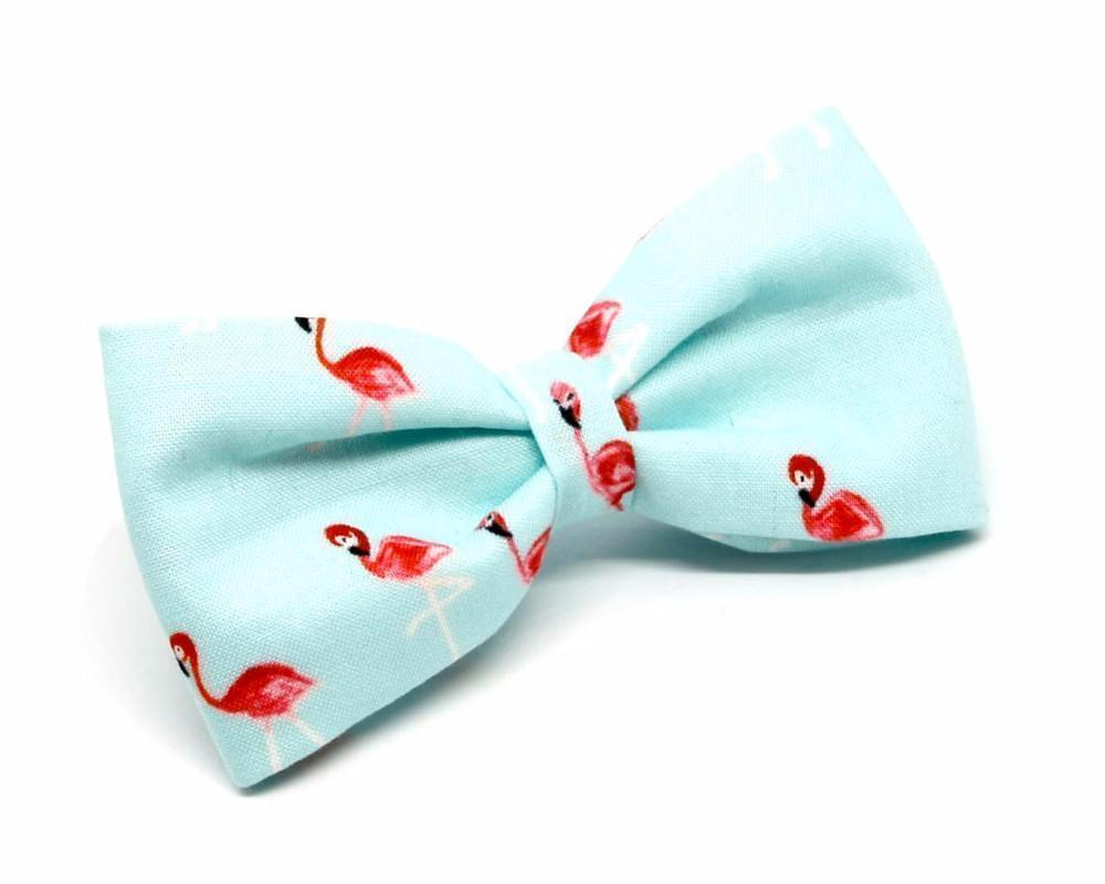 Pajarita Baño de flamencos