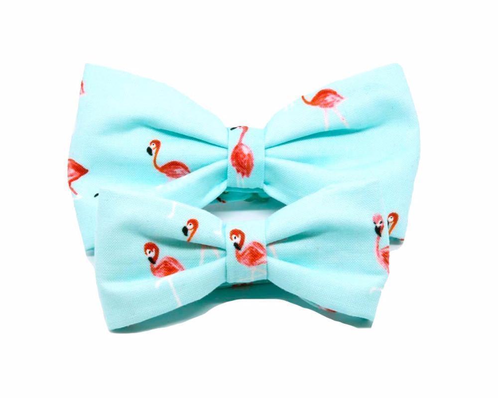 Pajarita Baño de flamencos