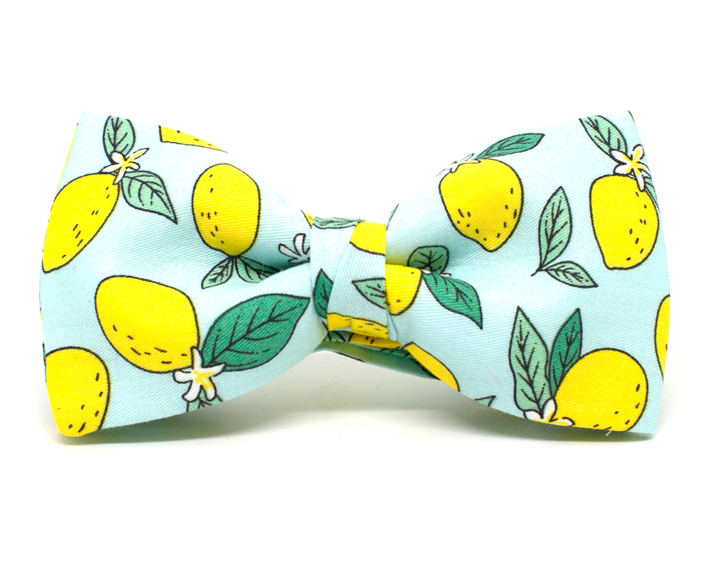 Pajarita Limones