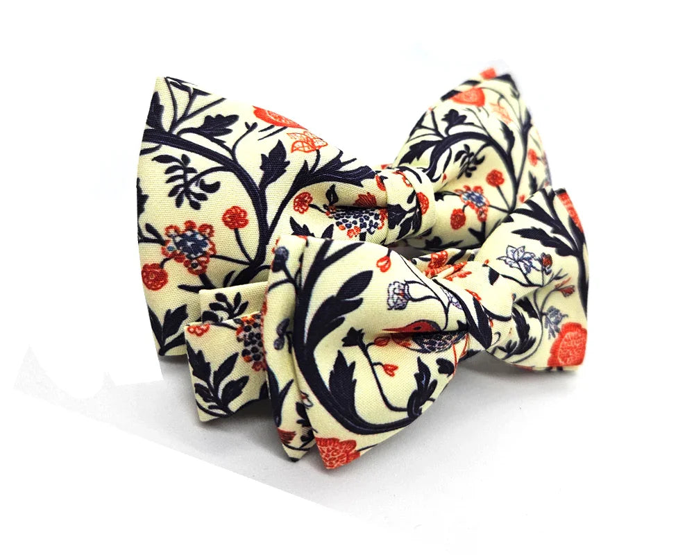 Nœud papillon Diplodocus