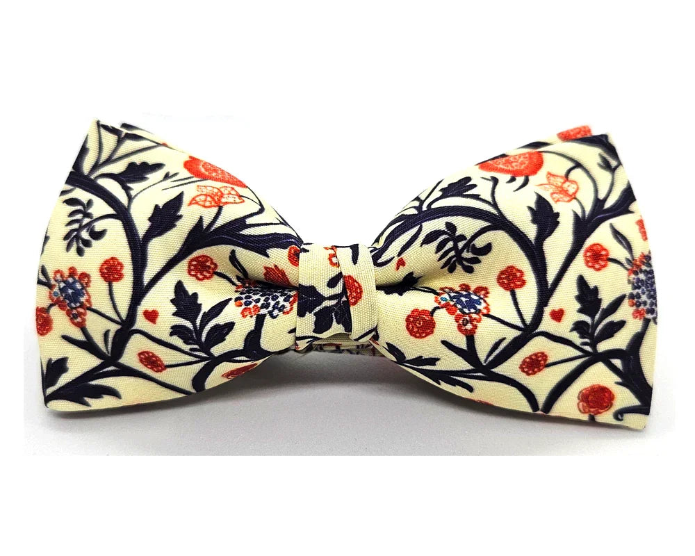 Nœud papillon Diplodocus