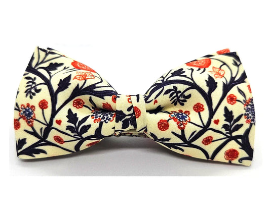 Nœud papillon Diplodocus