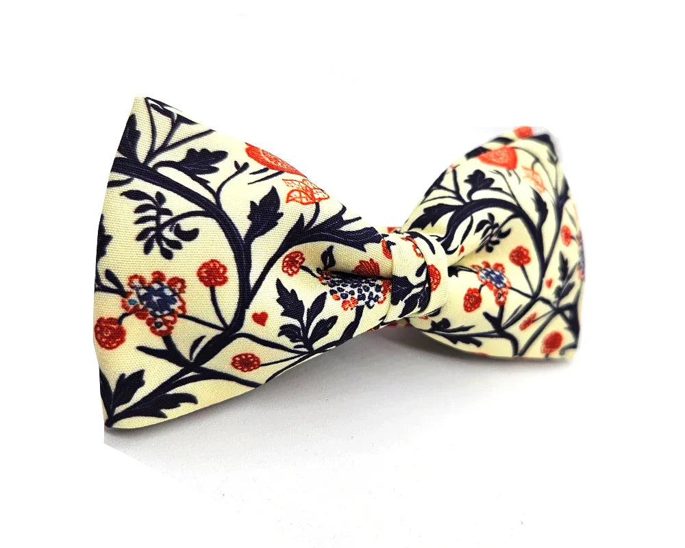 Nœud papillon Diplodocus