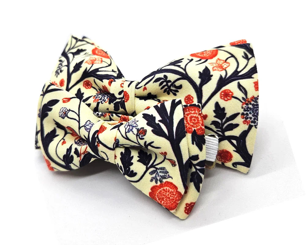 Nœud papillon Diplodocus