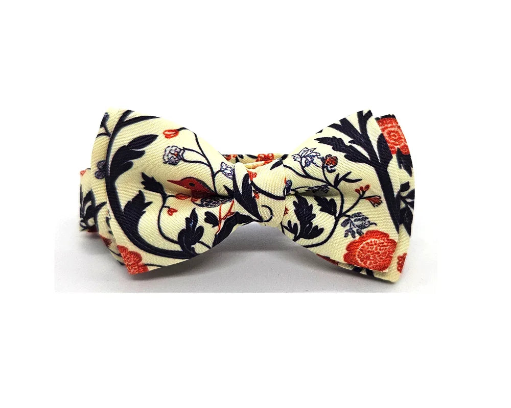 Nœud papillon Diplodocus