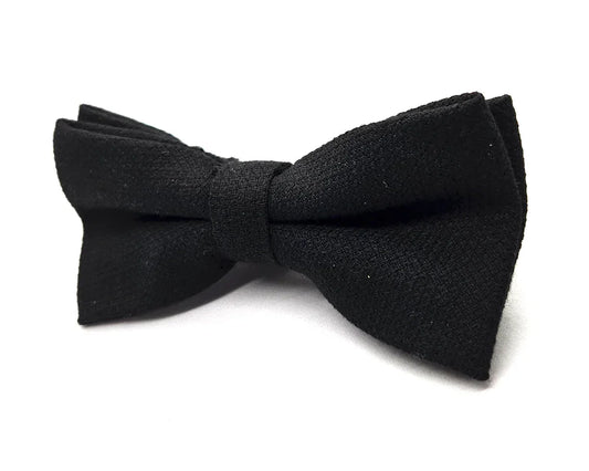 Nœud papillon Diplodocus