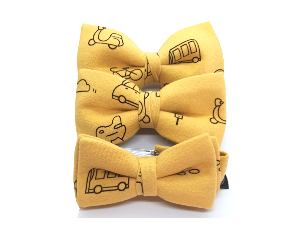 Pajarita Amarilla Transportes