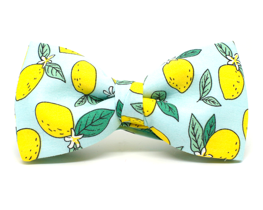 Pajarita Limones
