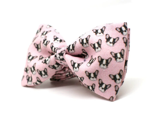 Pajarita Perro Bulldog Francés