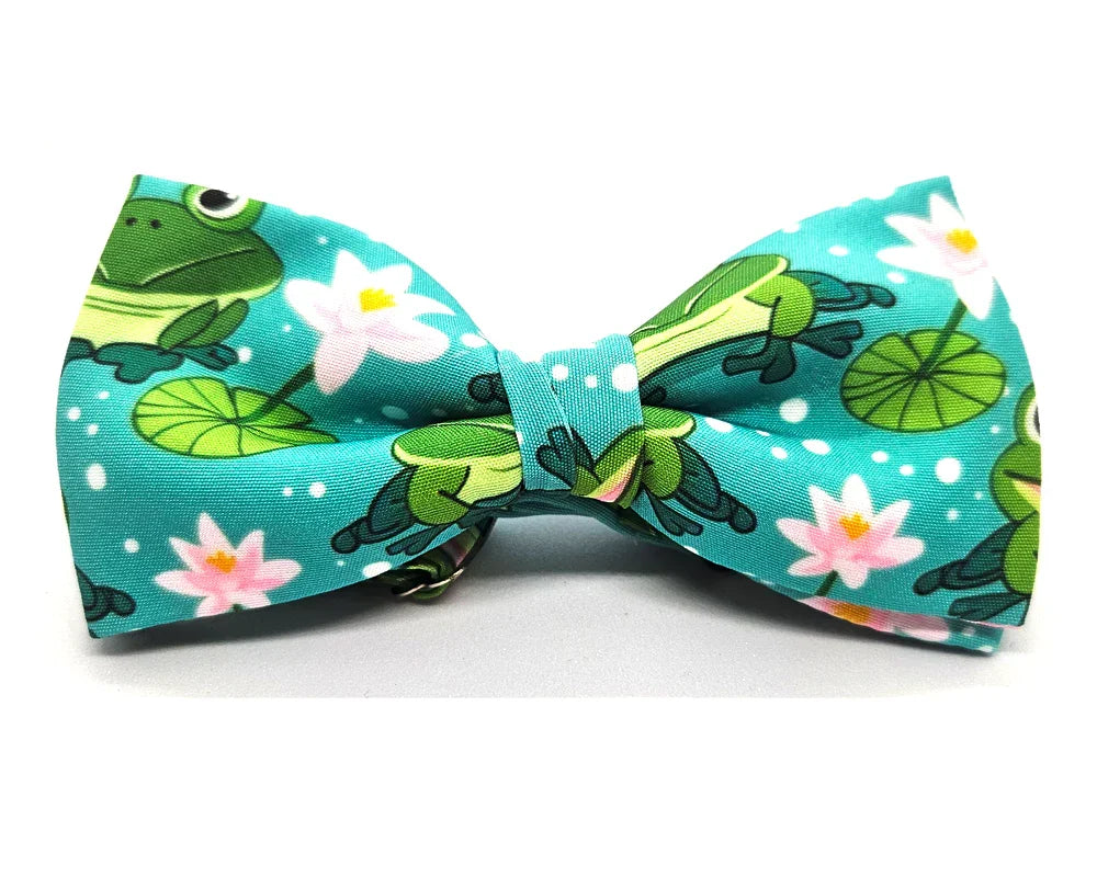 Pajarita Ranas Verdes 🆕