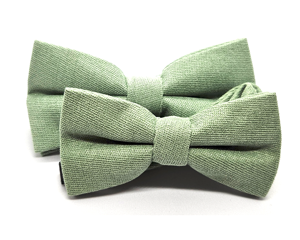Pajarita Verde Menta