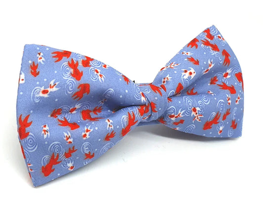 Pajarita peces de colores