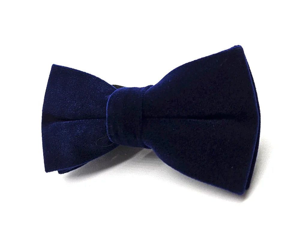 Nœud papillon Diplodocus