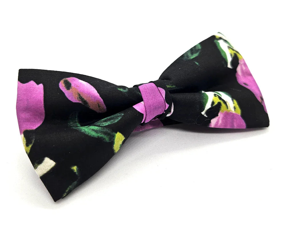 Nœud papillon Diplodocus