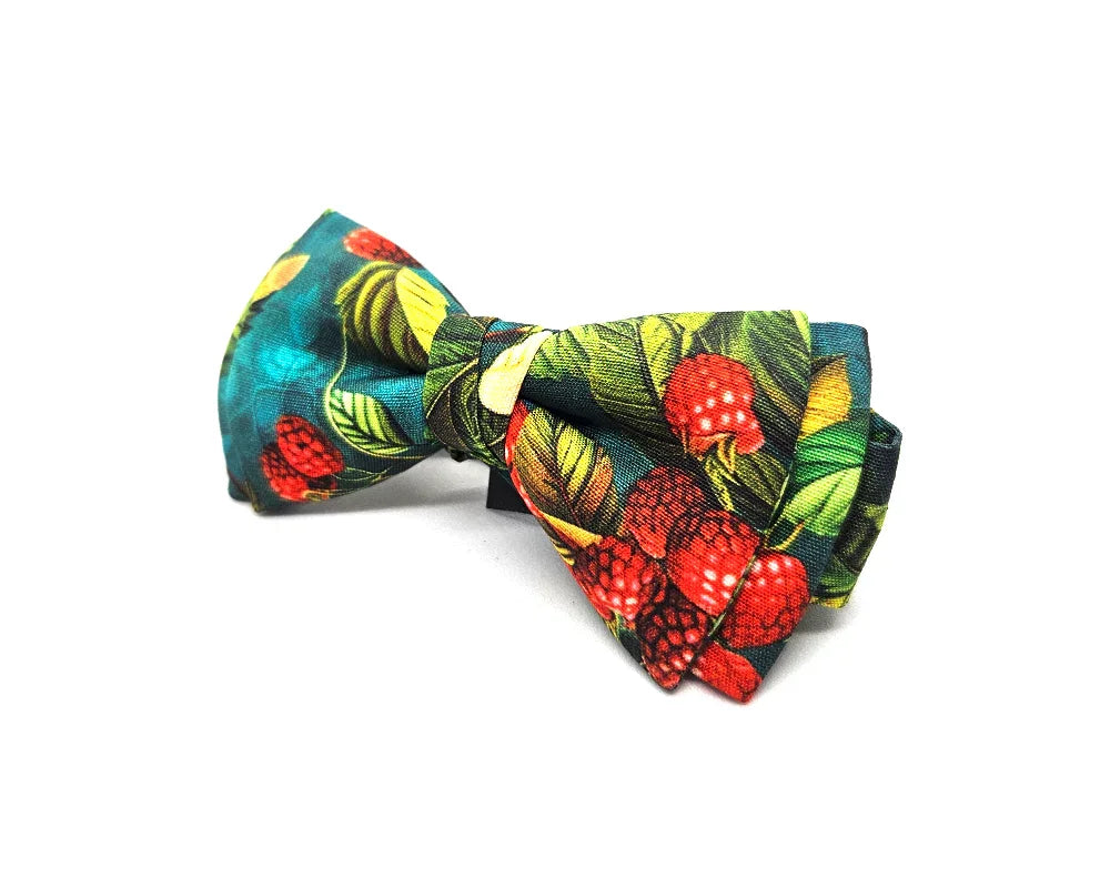 Nœud papillon Diplodocus