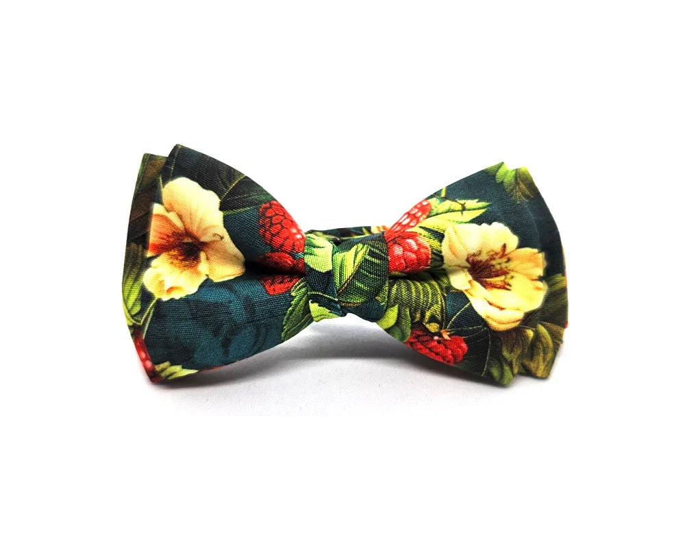 Nœud papillon Diplodocus