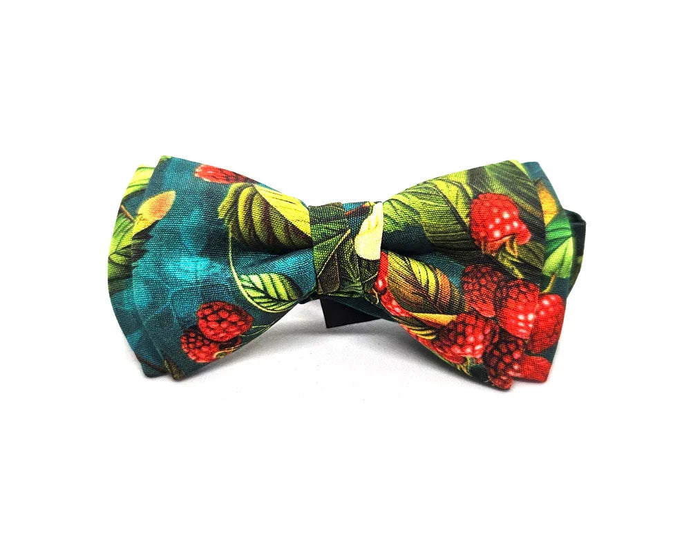 Nœud papillon Diplodocus