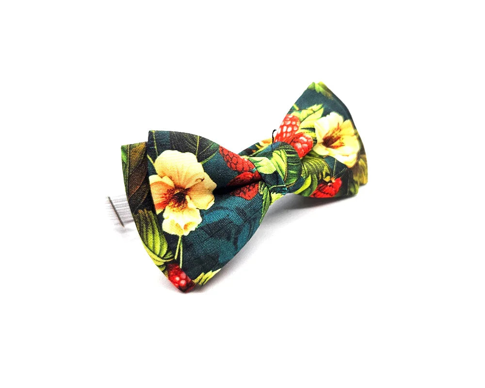 Nœud papillon Diplodocus