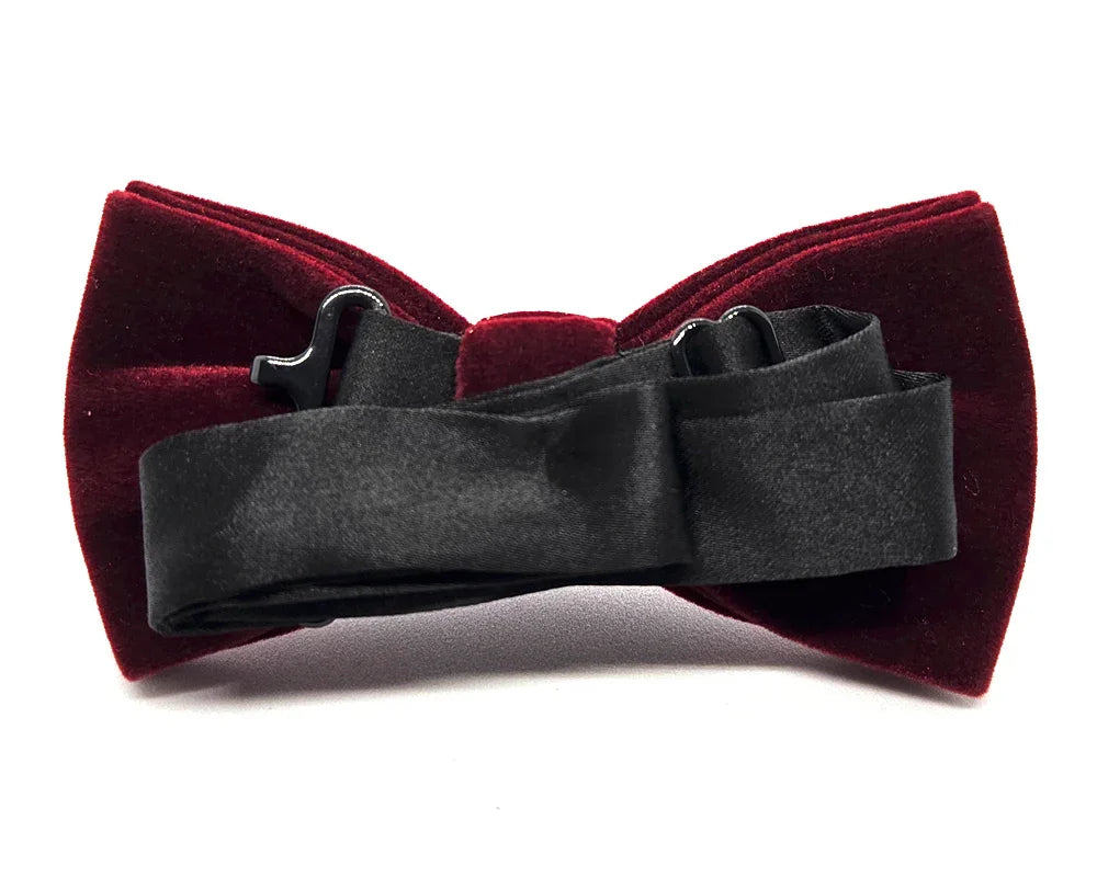 Nœud papillon Diplodocus