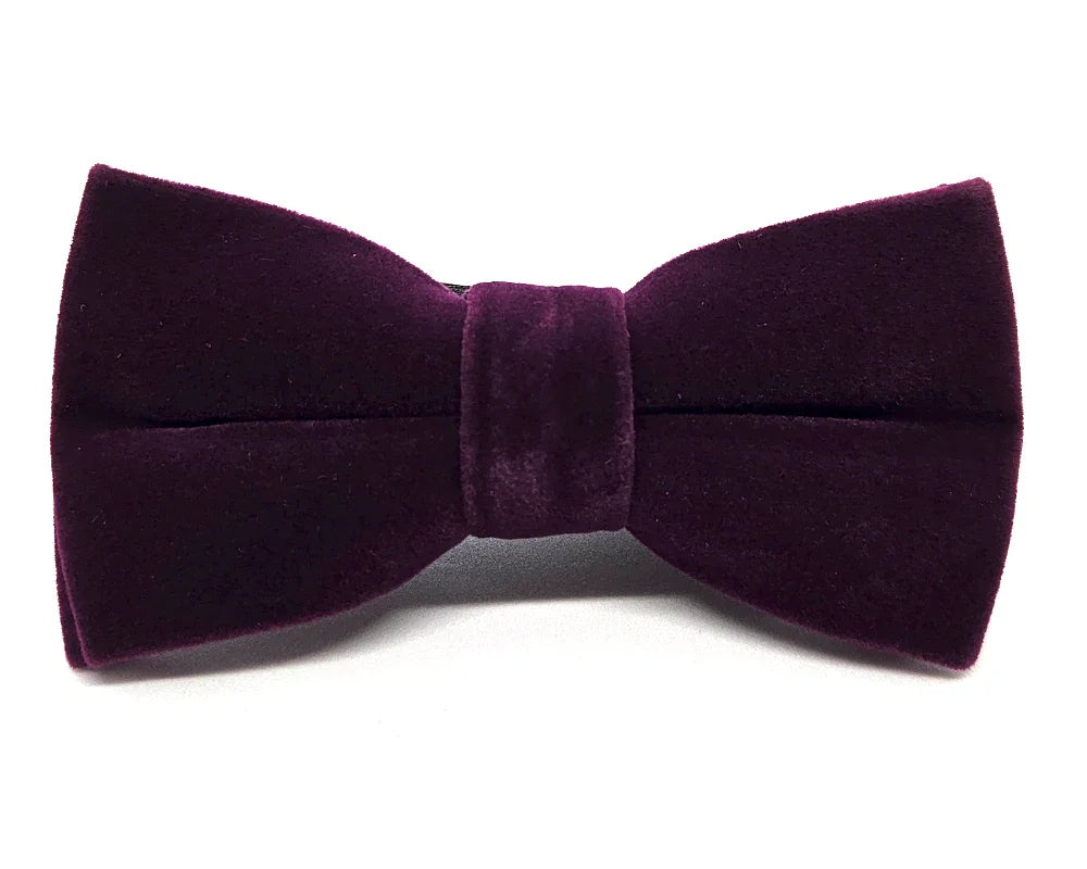 Nœud papillon Diplodocus