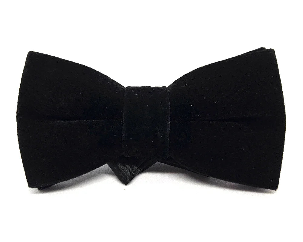 Nœud papillon Diplodocus