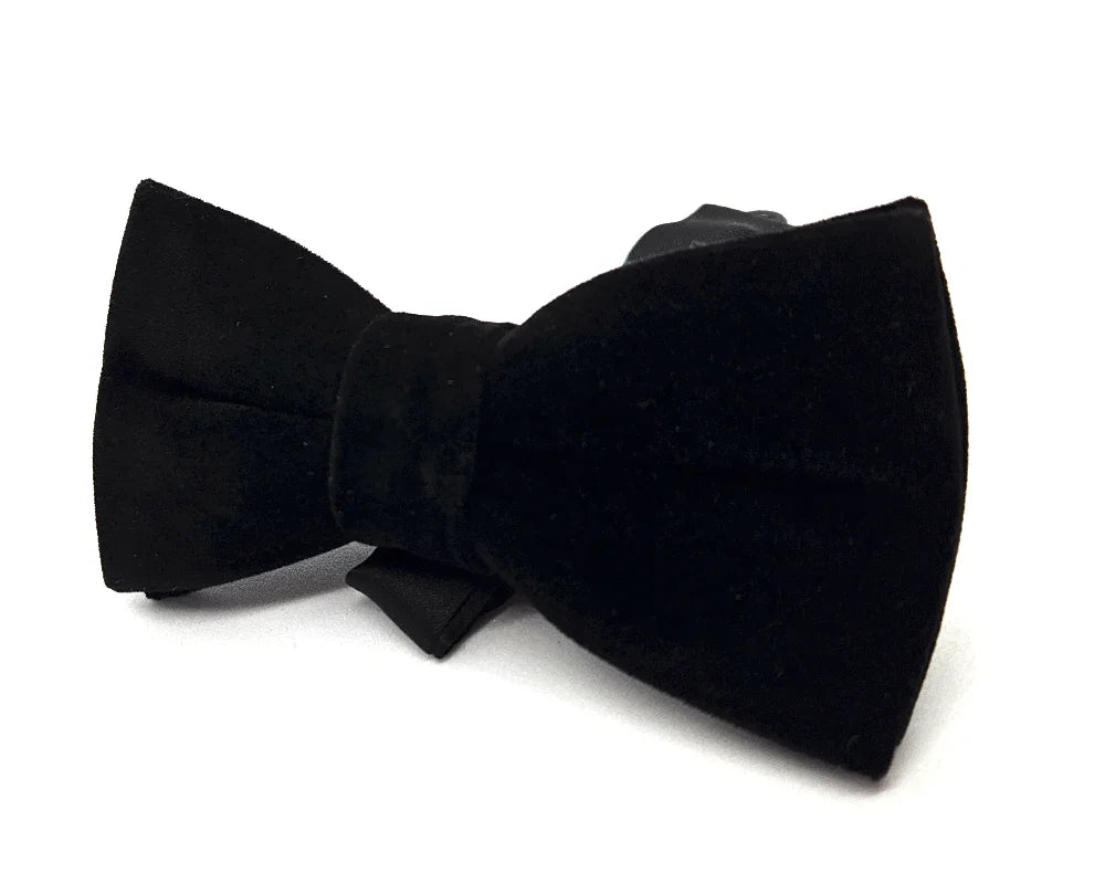 Nœud papillon Diplodocus