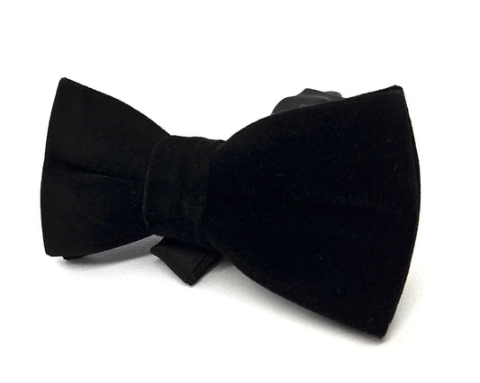 Nœud papillon Diplodocus