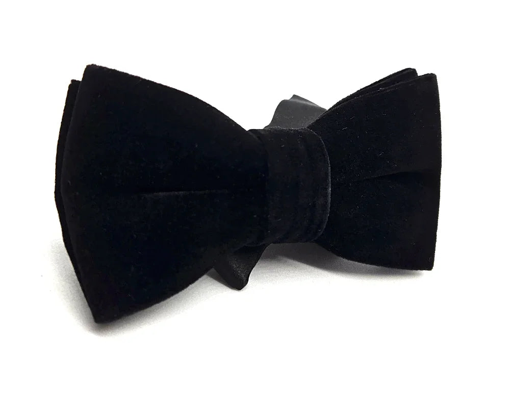 Nœud papillon Diplodocus