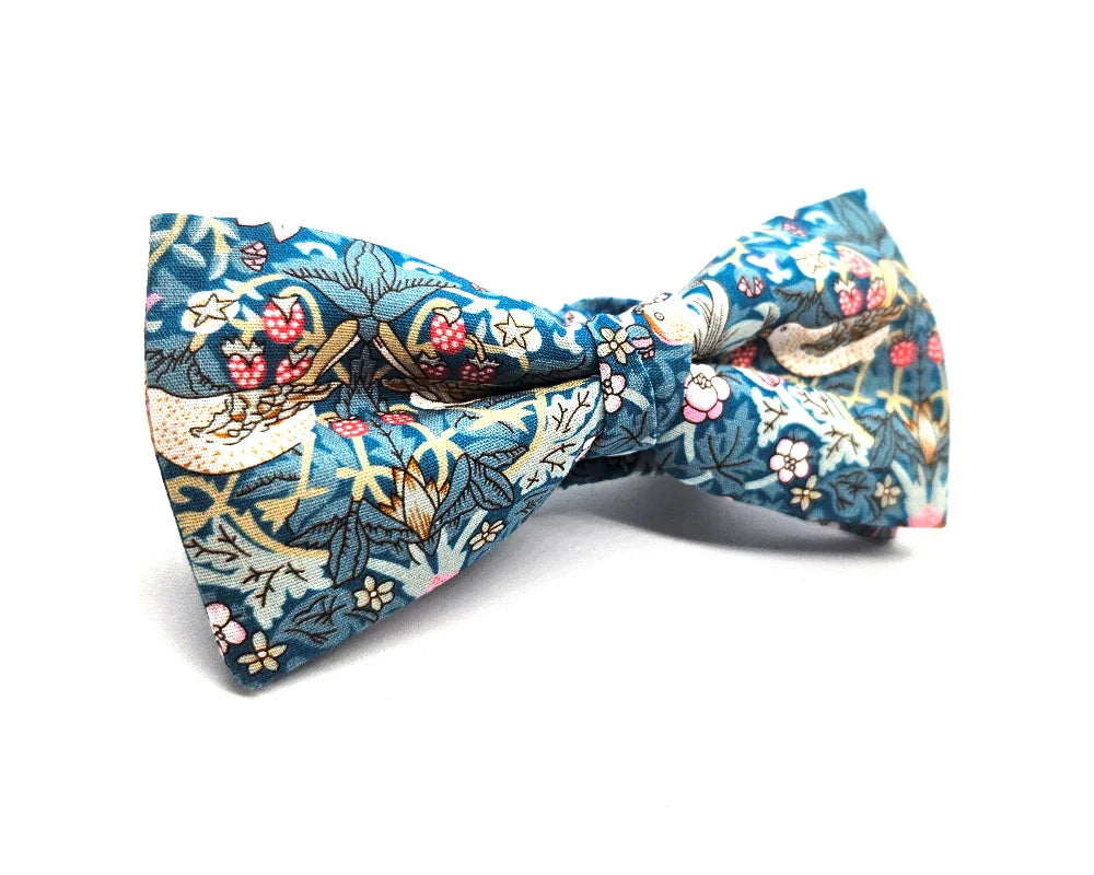 Nœud papillon Diplodocus