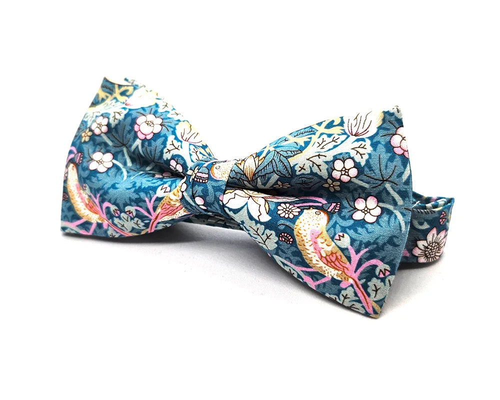 Nœud papillon Diplodocus