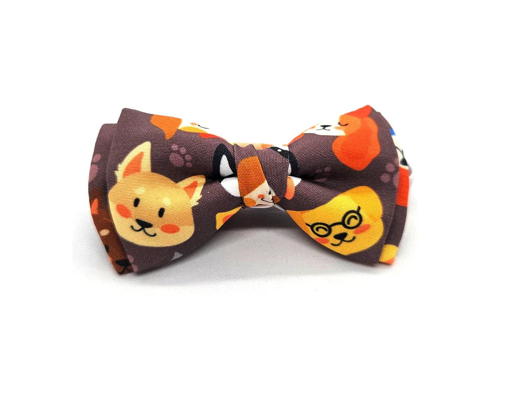 Nœud papillon Diplodocus