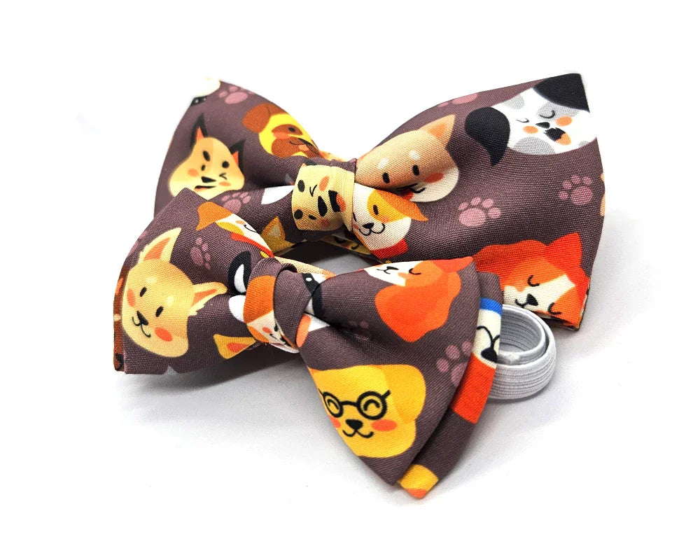 Nœud papillon Diplodocus