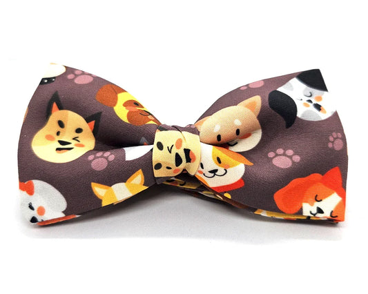 Nœud papillon Diplodocus