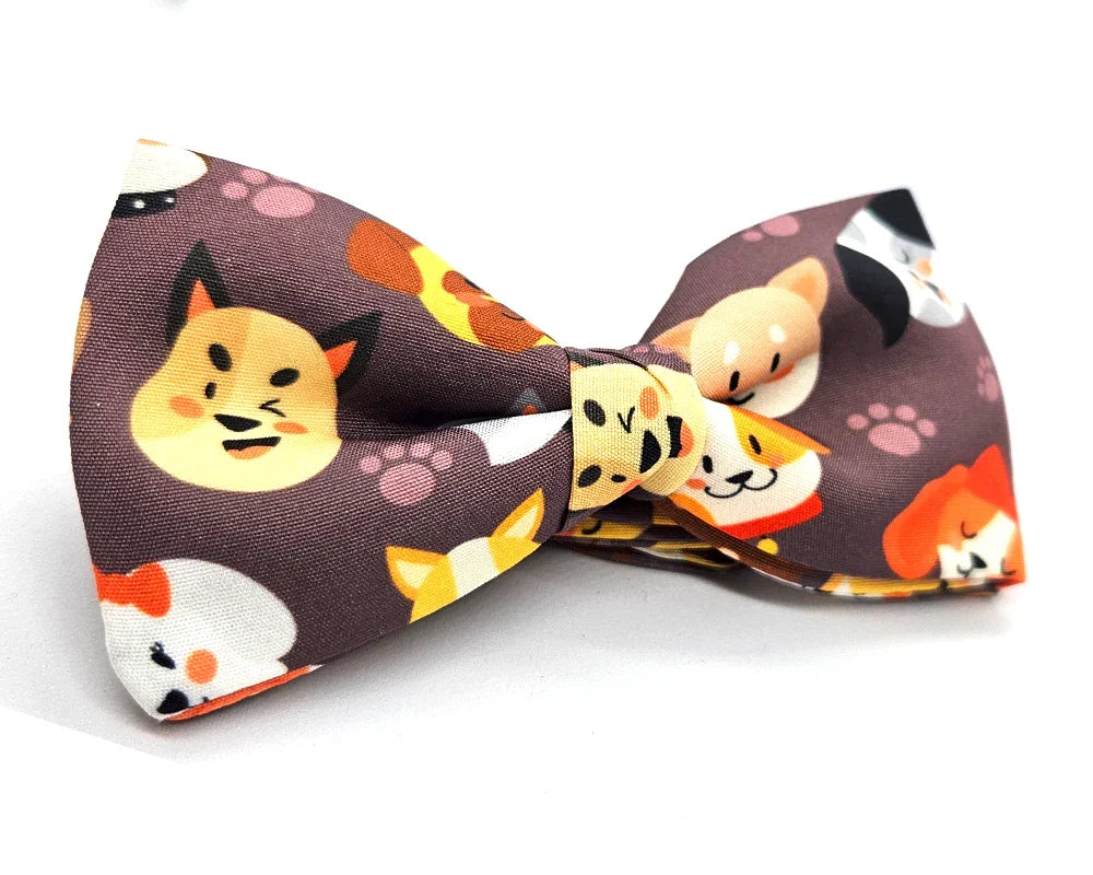 Nœud papillon Diplodocus