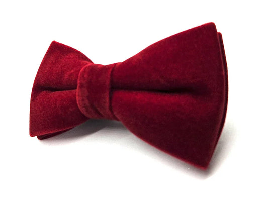 Nœud papillon Diplodocus