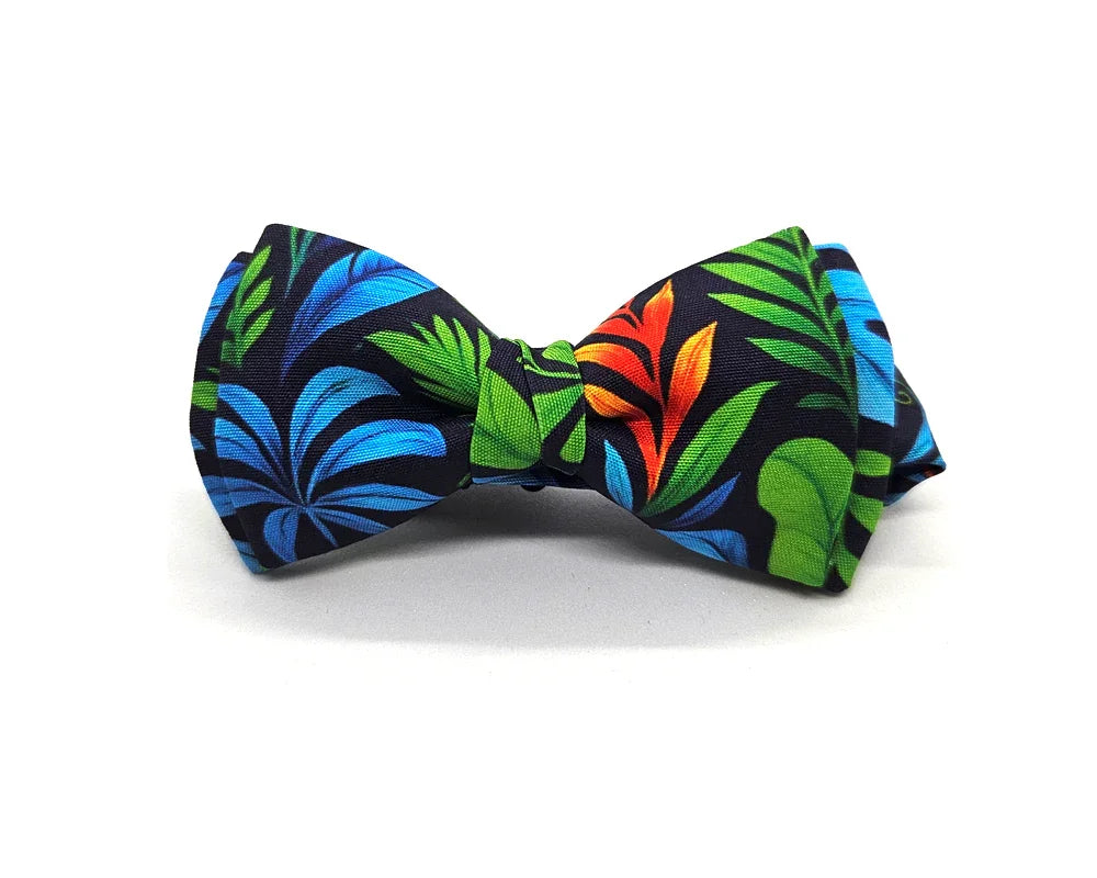 Nœud papillon Diplodocus