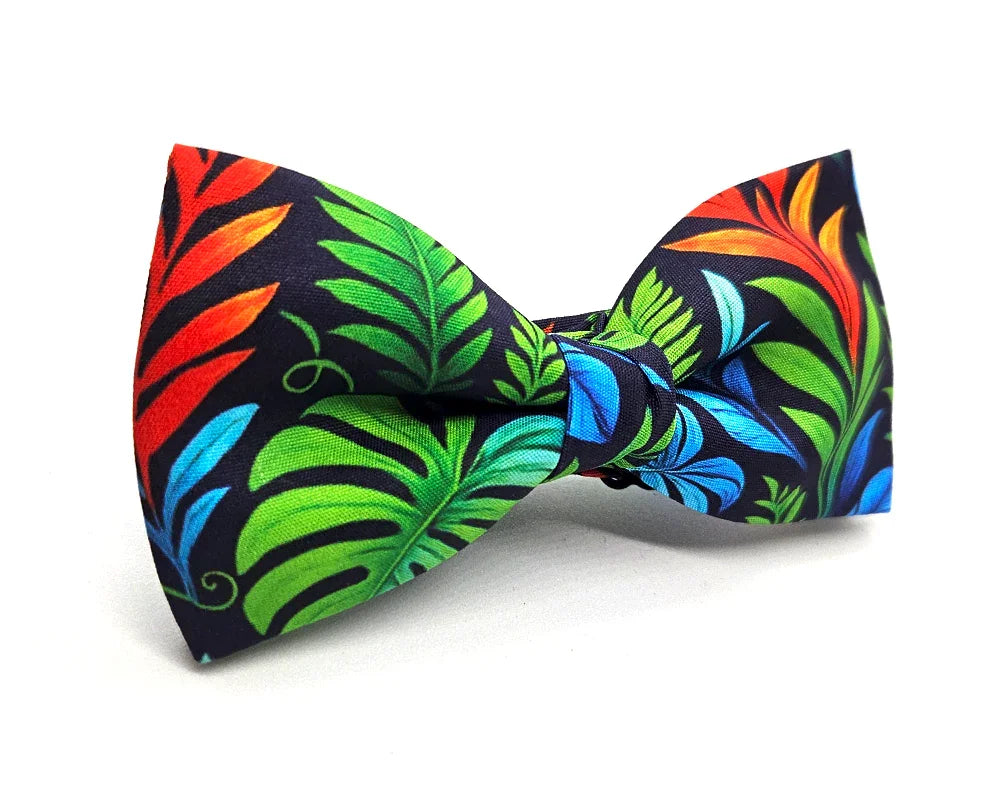 Nœud papillon Diplodocus