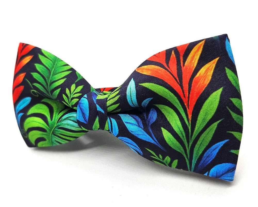 Nœud papillon Diplodocus