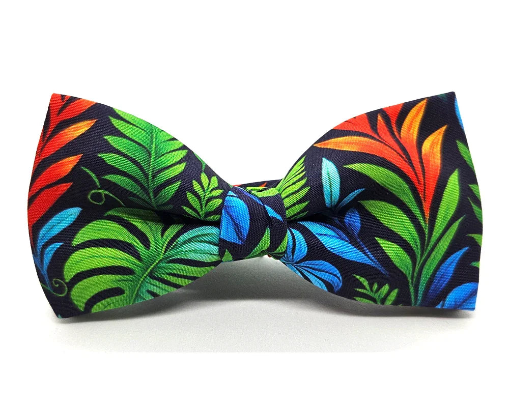 Nœud papillon Diplodocus